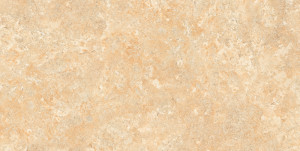 05.300600.08624