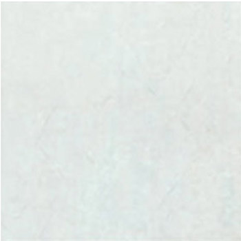 Gạch lát Ceramic Bạch Mã 50x50 CG50002