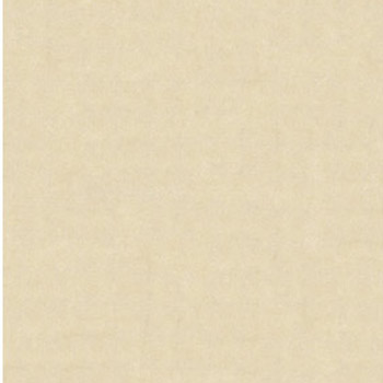 Gạch lát Granite Bạch Mã 60x60 MP60002
