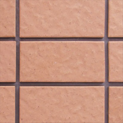 Gạch trang trí INAX 255/VIZ-10