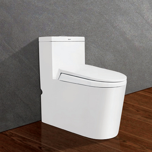 BỒN CẦU 1 KHỐI VIGLACERA V46