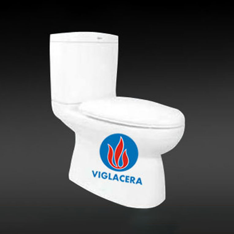 BỒN CẦU 2 KHỐI VIGLACERA AR5
