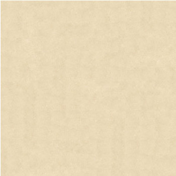 Gạch lát Granite Bạch Mã 60x60 MP60001