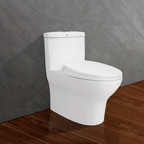BỒN CẦU 1 KHỐI VIGLACERA V37