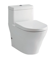 BỒN CẦU TOTO 1 KHỐI CW166B#XW/TC390CVK#W