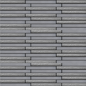 Gạch Trang Trí FLC 2425