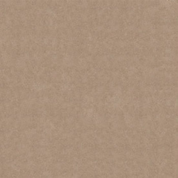 Gạch lát Granite Bạch Mã 60x60 MP60004