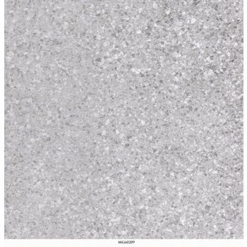 Gạch lát Granite Bạch Mã 60x60 MG60209