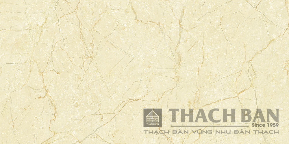 GẠCH GRANITE PHỦ MEN KHÔ - DIGIART MPF 853