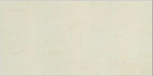 GẠCH TAICERA HC600x298-313N