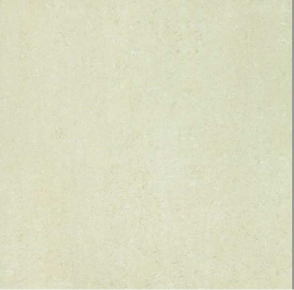 GẠCH TAICERA P67313N
