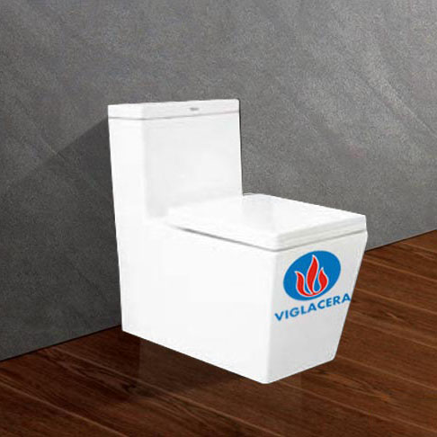 BỒN CẦU 1 KHỐI VIGLACERA V47