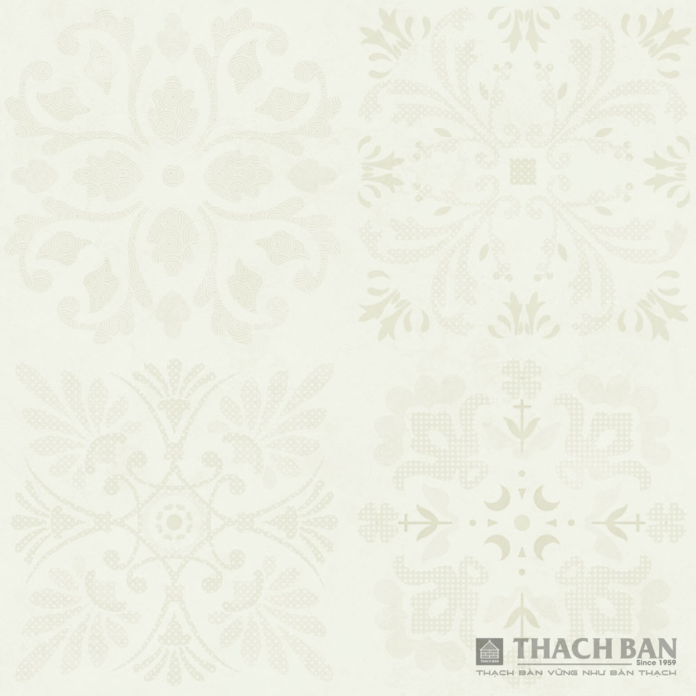 GẠCH GRANITE MEN KHÔ HIỆU ỨNG FOSILI FLH-A062