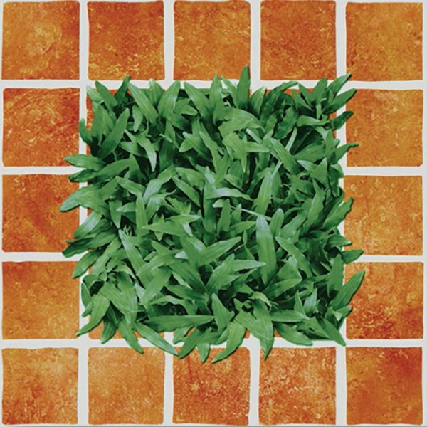 GẠCH GRANITE 4040CLG002