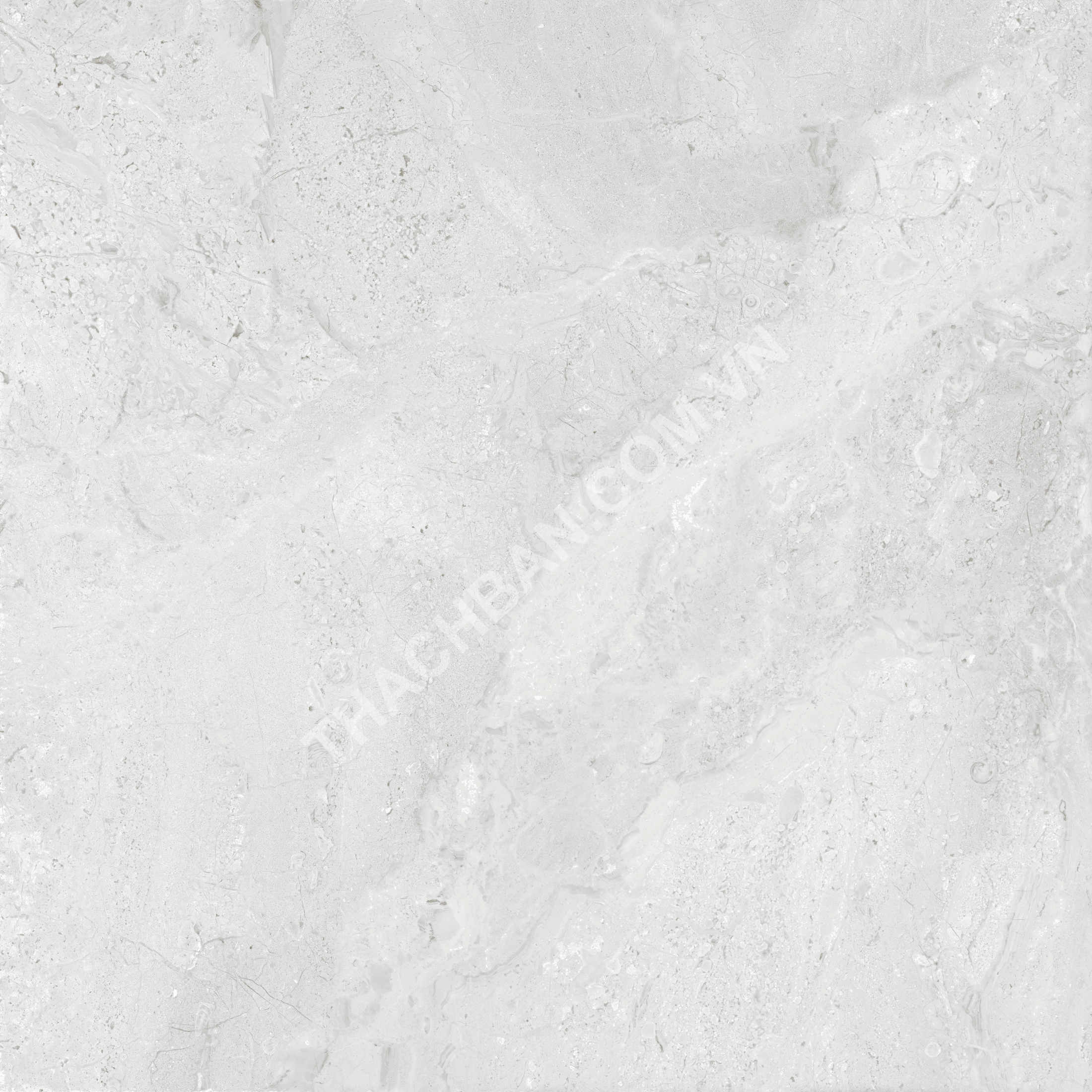 GẠCH GRANITE MEN BÓNG FOSILI FLB-A112